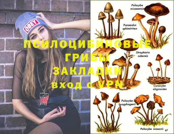 кокаин колумбия Абаза