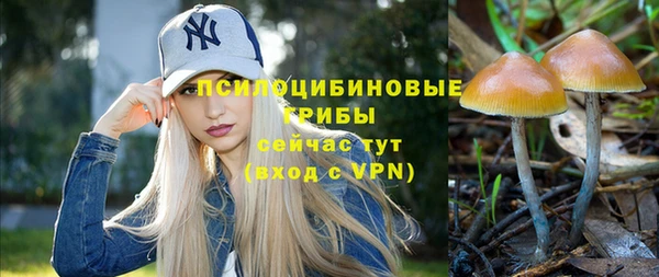 гидра Абдулино