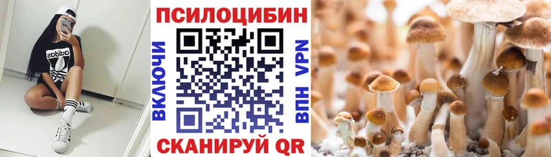 Галлюциногенные грибы Magic Shrooms  МЕГА как войти  Донской 